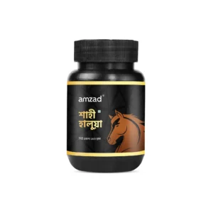 শাহী হালুয়া/ Shahi haluya